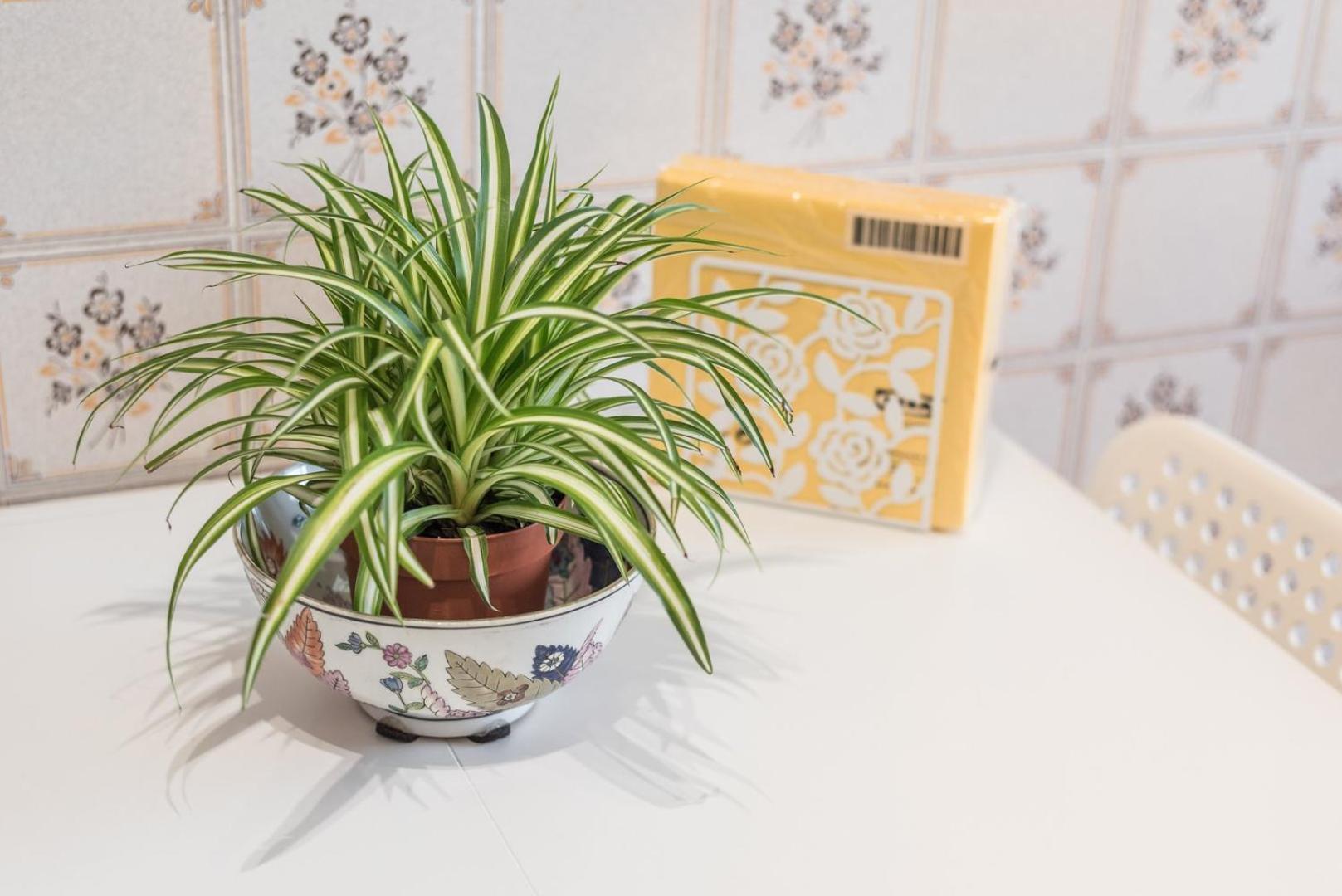 Guestready - Eclectic Haven In The Heart Of Porto Apartment Bagian luar foto